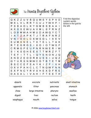 Digestive System Word Search Puzzle