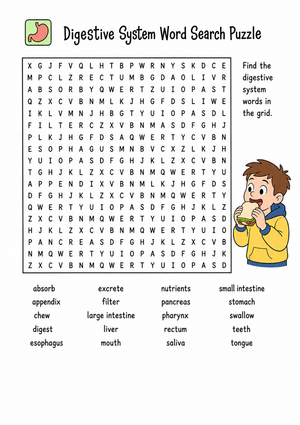 Essential Digestive System Word Search | Grade 7-12