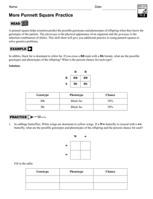 More Punnett Square Practice Problems