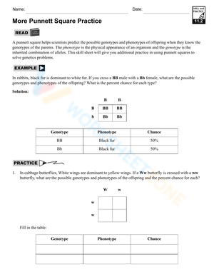 More Punnett Square Practice Problems