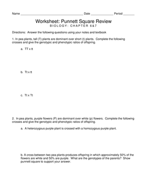 Punnett Square Practice – Biology Worksheet for Genetics