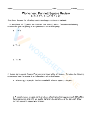 Punnett Square Practice – Biology Worksheet for Genetics