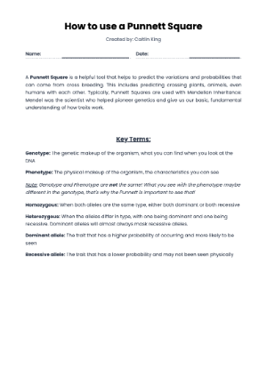 How to Use Punnett Square: Updated Guide