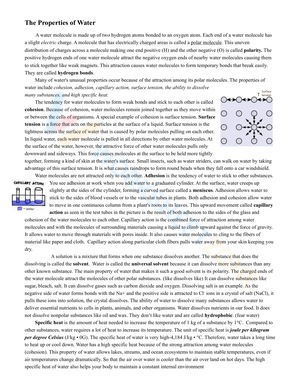 The Properties of Water