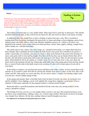 Proper Feeding Guide for a Guinea Pig
