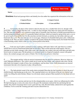 Understanding Overall Text Structure Worksheet
