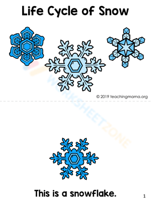 The Life Cycle of a Snowflake Worksheet