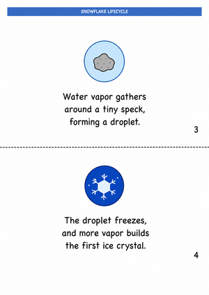 Snowflake Lifecycle Printable Worksheet | Grade 7-9