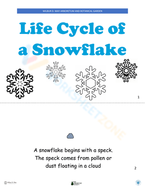 Free Printable Life Cycle of A - Snowflake Lifecycle W300 H388 Thumbnail 
