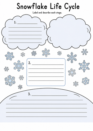 Snowflake Life Cycle Worksheet (3 Levels) | Grade 7-9 Ready