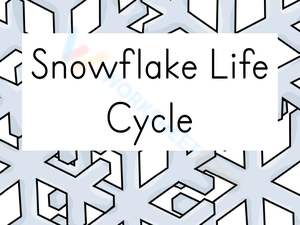 Free Printable Life Cycle of A - Snowflake Life Cycle W300 H225 Thumbnail 