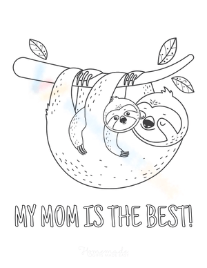Cute Mother and Baby Sloth