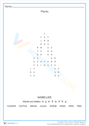 Plant Vocabulary: Explore Plants Worksheet