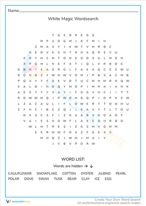 White Things Word Search - Grades 2-4 Vocabulary Fun