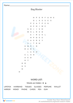 Bag Blaster' Word Search - Find Items in a Bag (Grades 2-4)