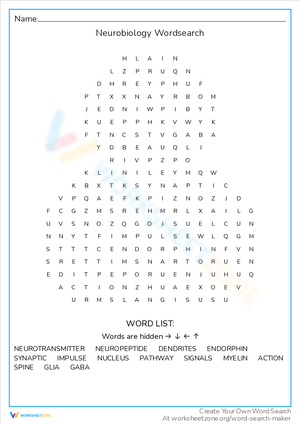 Neurobiology Word Search: Explore Brain Science