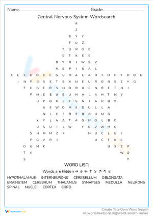 Central Nervous System Word Search: Anatomy Basics
