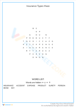 Insurance Types Maze Worksheet