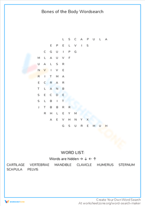 Bones of the Body Word Search Adventure