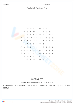 Skeletal System Fun: A Word Search Adventure