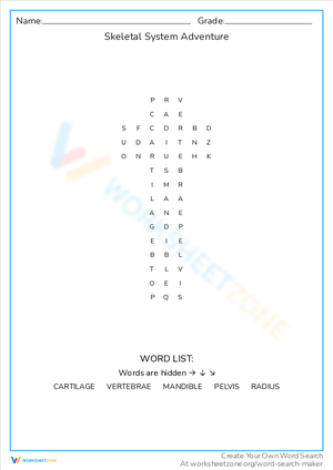 Skeletal System Adventure: A Word Search Quest