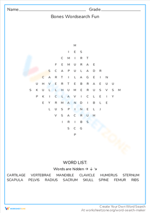 Bones Word Search Fun: A Skeletal Game