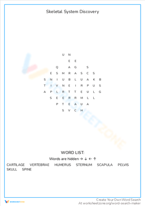 Skeletal System Discovery: A Word Search Game