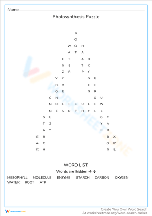 Photosynthesis Puzzle: An Educational Challenge