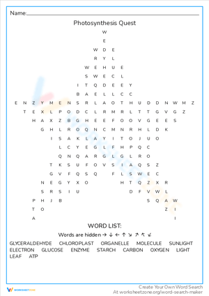 Photosynthesis Quest Word Search Challenge