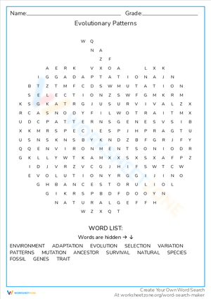 Spot the Evolutionary Patterns with This Worksheet!