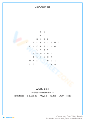 Cat Craziness Worksheet