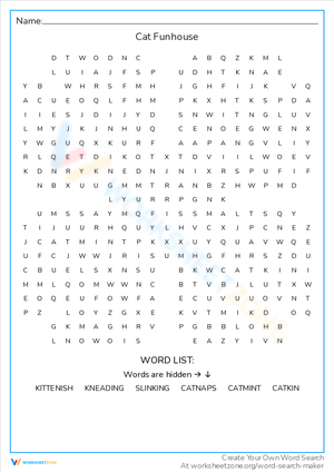 Cat Funhouse Worksheet
