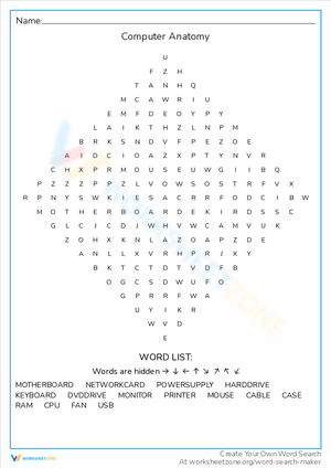 Explore Computer Anatomy Word Find