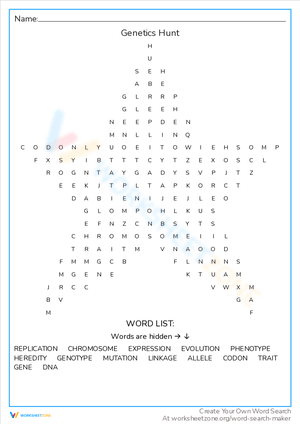 Embark on a Genetics Hunt: Science Worksheet