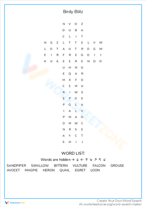 Birdy Blitz Worksheet