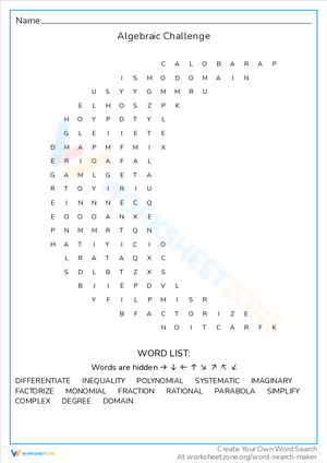 Algebraic Challenge Worksheet