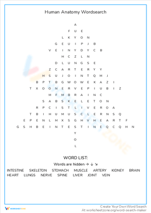 Human Anatomy Word Search Adventure