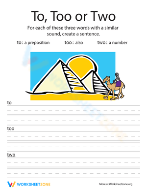 Practice Homophones with 'Too' 'Two' Worksheet