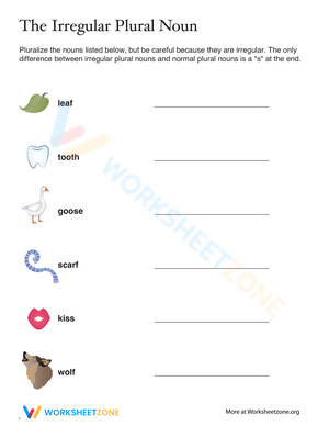 Irregular Plural Nouns with Fun Illustrations