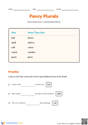 Fancy Plural Nouns Worksheet | Printable Grade 1 English