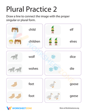 Irregular Plurals Practice II