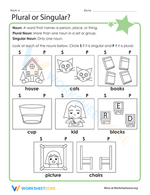 Plural or Singular Nouns