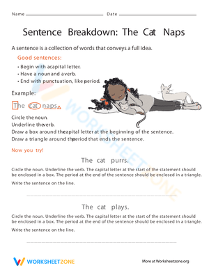Nouns: Cat Chase