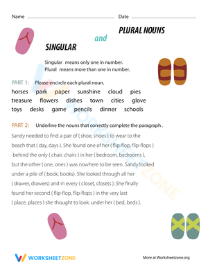 Advanced Grammar: Singular and Plural Nouns