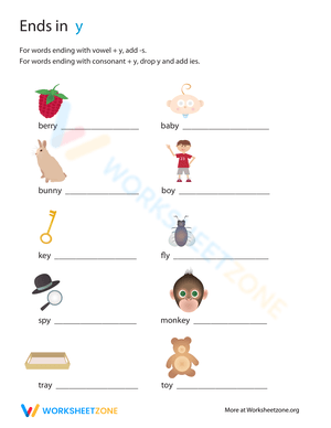 Plural Words Ending in -ies