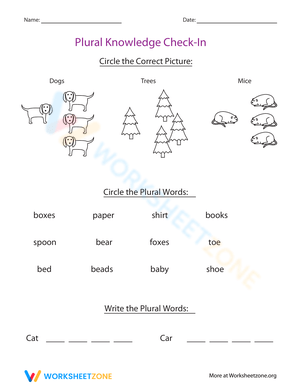 Plural Noun Practice