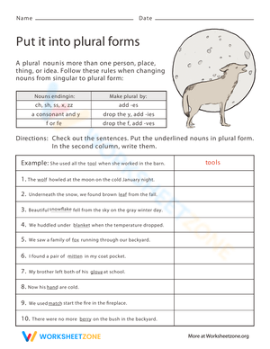 Put It Into Plural Form Worksheet