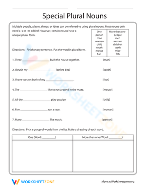Worksheet on Special Plural Nouns