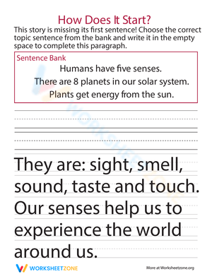 Crafting Effective Opening Sentences