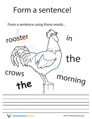 Practice Making a Sentence